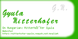 gyula mitterhofer business card